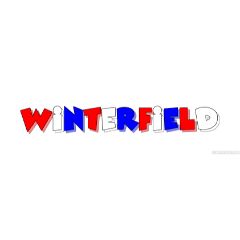 WinterFieldSafes discount code